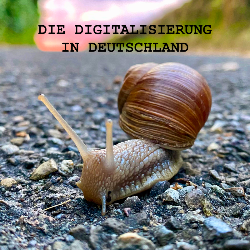 Weinbergschnecke. Die Digitalisierung in Deutschland.